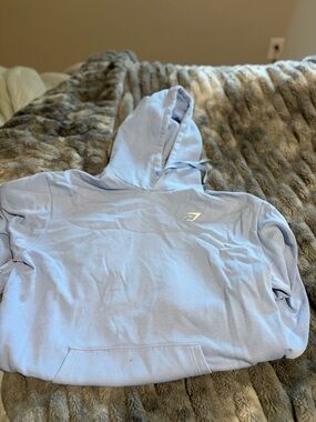 Gymshark Light Blue Pullover Hoodie